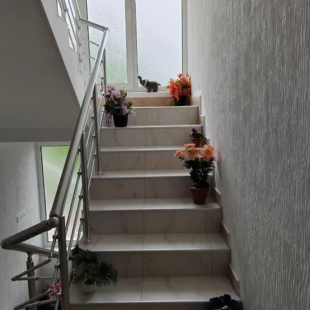 Petrovic Apartment *