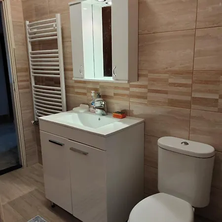 Apartment Petrovic Soko Banja