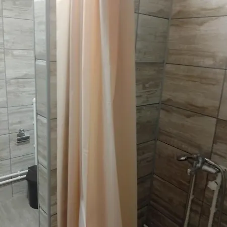 Apartment Petrovic Soko Banja