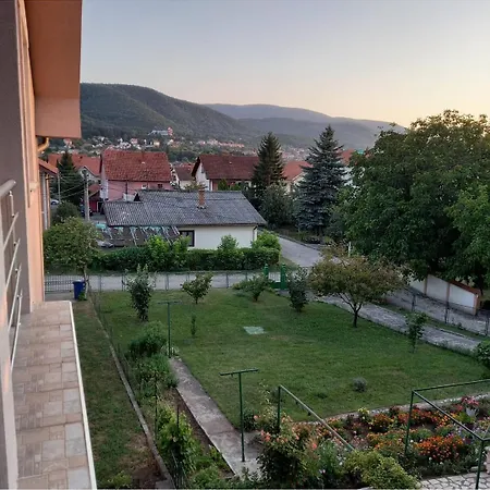 Petrovic Apartment Soko Banja