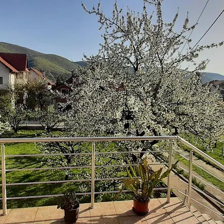Petrovic Apartment *