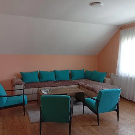 Apartment Petrovic *