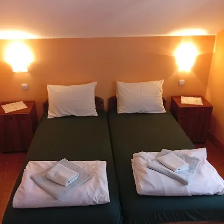 Petrovic Apartment Soko Banja